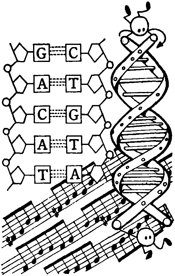 DNA音樂